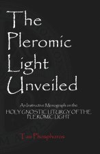 The Pleromic Light Unveiled