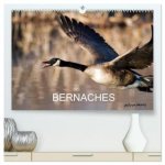 BERNACHES CALENDRIER MURAL HAUT DE GAMME