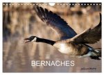 BERNACHES CALENDRIER MURAL 2027 DIN A4 V