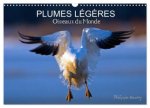 PLUMES LEGERES OISEAUX DU MONDE CALENDRI