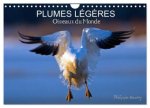 PLUMES LEGERES OISEAUX DU MONDE CALENDRI