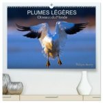 PLUMES LEGERES OISEAUX DU MONDE CALENDRI