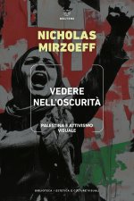 Vedere nell'oscurità. Palestina e attivismo visuale