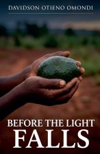 Before The Light Falls