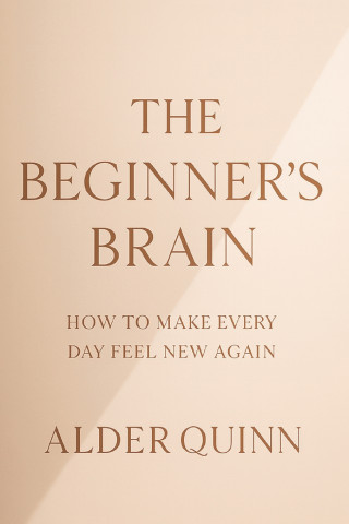 The Beginner's Brain