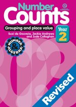 Number Counts Year 2 - Revised