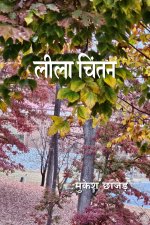 Lila Chintan