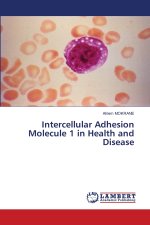 Intercellular Adhesion Molecule 1 in Health and Disease