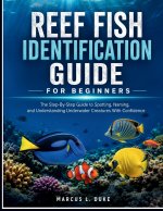 Reef Fish Identification Guide For Beginners