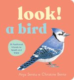 Look! a Bird