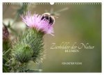 Zierbilder der Natur BLUMEN (Wandkalender 2027 DIN A3 quer), CALVENDO Monatskalender