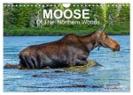 MOOSE Of The Northern Woods (Wall Calendar 2027 DIN A4 landscape), CALVENDO 12 Month Wall Calendar