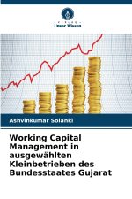 Working Capital Management in ausgewählten Kleinbetrieben des Bundesstaates Gujarat