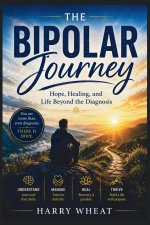 The Bipolar Journey