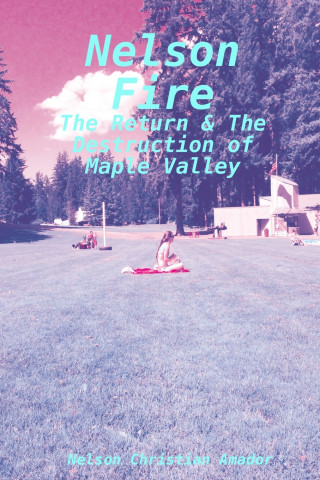 Nelson Fire
