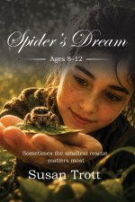 Spider's Dream