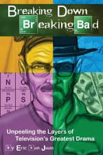 Breaking Down Breaking Bad