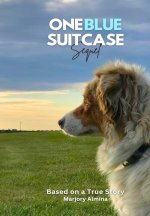 One Blue Suitcase Sequel