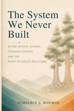 The System We Never Built