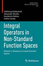 Integral Operators in Non-Standard Function Spaces