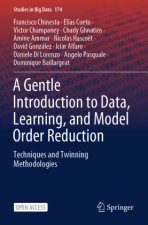 A Gentle Introduction to Data, Learning, and Model Order Reduction