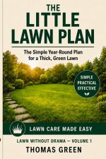 THE LITTLE LAWN PLAN
