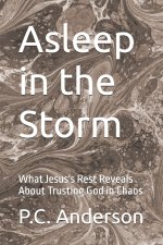 Asleep in the Storm