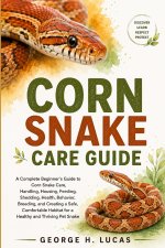 Corn Snake Care Guide