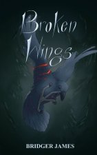 Broken Wings