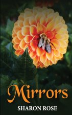 Mirrors