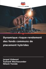 Dynamique risque-rendement des fonds communs de placement hybrides