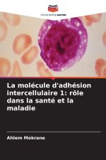 La molécule d'adhésion intercellulaire 1