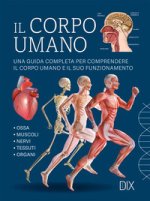 corpo umano