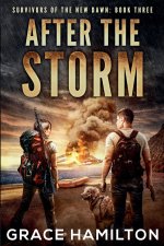 After the Storm