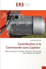 Contribution à la Commande sans Capteur