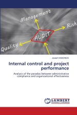 Internal control and project performance