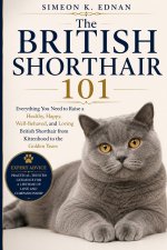 The British Shorthair 101