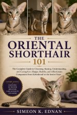 The Oriental Shorthair 101