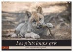 Les p'tits loups gris (Calendrier mural 2027 DIN A3 vertical), CALVENDO calendrier mensuel