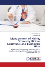 Management of Kidney Stones by Ricinus Communis and Euphorbia Hirta