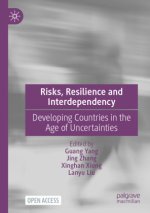 Risks, Resilience and Interdependency