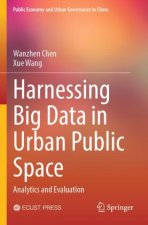 Harnessing Big Data in Urban Public Space