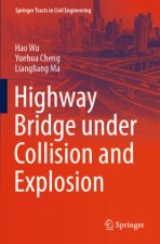 Highway Bridge under Collision and Explosion