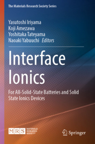 Interface Ionics