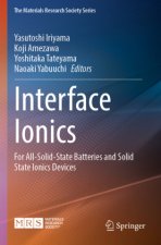Interface Ionics