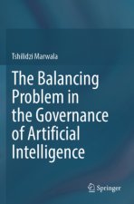 The Balancing Problem in the Governance of Artificial Intelligence