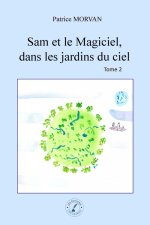 Sam et le Magiciel, dans les jardins du ciel
