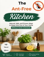 The Ant-Free Kitchen