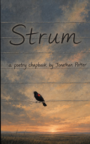 Strum