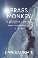 Brass Monkey
